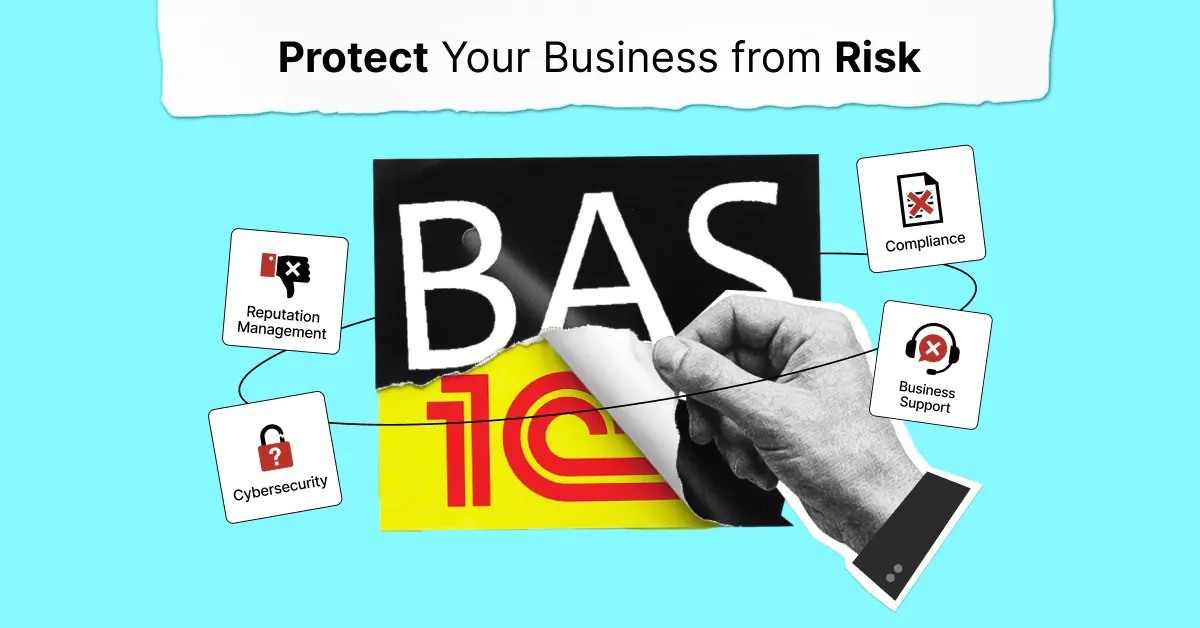 Visualization of the Key Risks of Using 1C and BAS